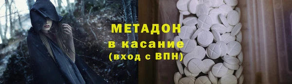 прущие грибы Алексеевка
