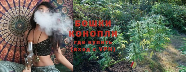 гидропоника Алзамай