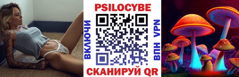 hydra зеркало  где купить наркотик  Ермолино  Псилоцибиновые грибы Cubensis 